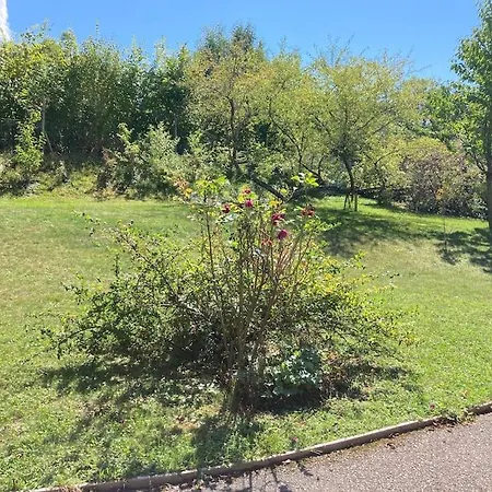 Evalou De 240 M². *